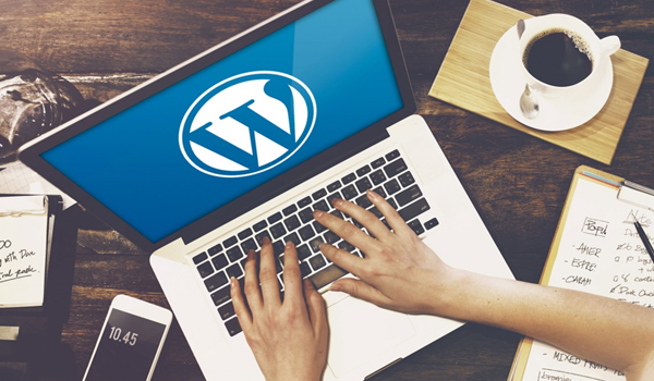 Giải mã những ưu - nhược điểm của WordPress hosting bạn cần biết 1