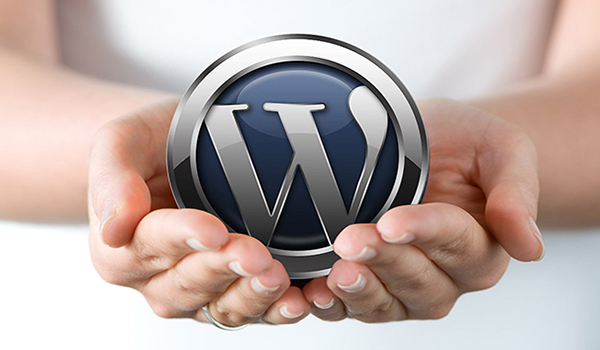 Giải mã những ưu - nhược điểm của WordPress hosting bạn cần biết