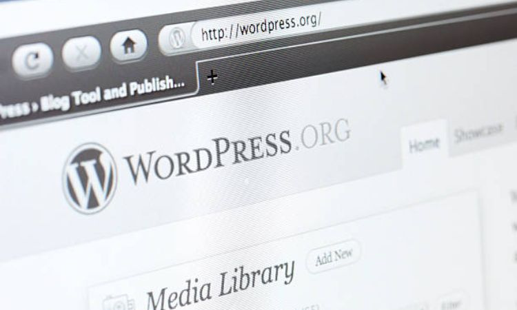 WordPress làm nền tảng website