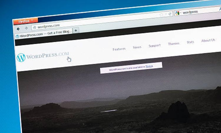 Website WordPress